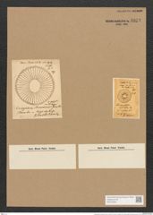 Campylodiscus browneanus Grev. (de-Toni-Nr.: Genus 57, Species 2472) Zeichnungen Sammlung Grunow Nr. 4973 (NHMW-BOT-W0373205)